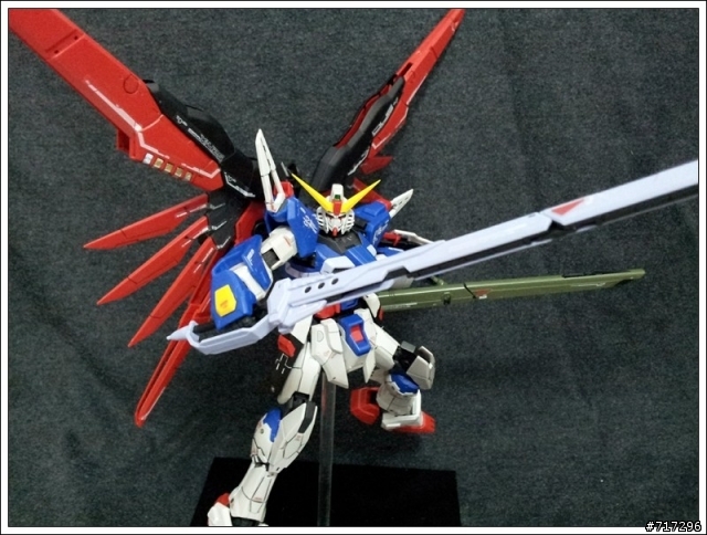 素組 RG ZGMF-X42S DESTINY 命運鋼彈