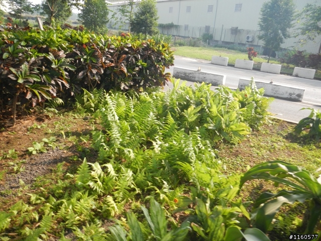 歡笑、美食聚一堂--2013屏東單車國道馬拉松