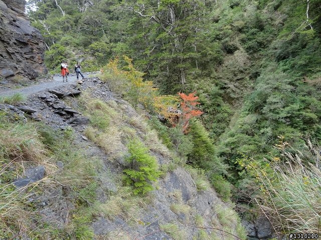 親子旅遊-褔壽山農場 and 合歡溪步道