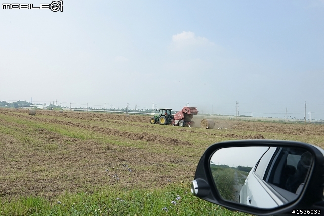 開著Luxgen S5遇見食草怪獸，大便一大坨。