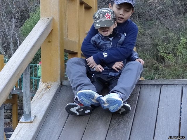 親子旅遊-武陵農場and 桃山瀑布步道