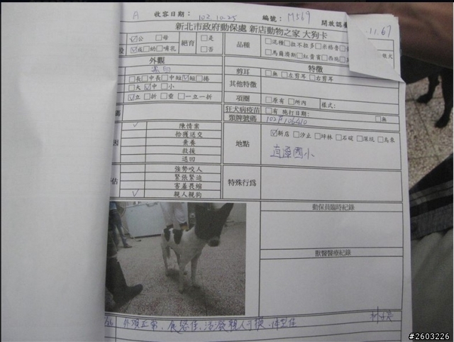 有沒有人知道去哪裡查詢狗狗項圈上的編號