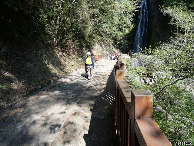 親子旅遊-武陵農場and 桃山瀑布步道