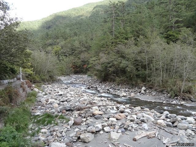 親子旅遊-武陵農場and 桃山瀑布步道