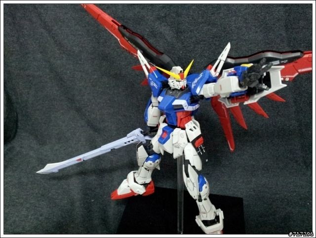 素組 RG ZGMF-X42S DESTINY 命運鋼彈