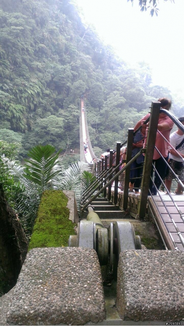 南投.竹山-天梯(梯子吊橋)