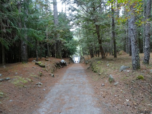 親子旅遊-武陵農場and 桃山瀑布步道