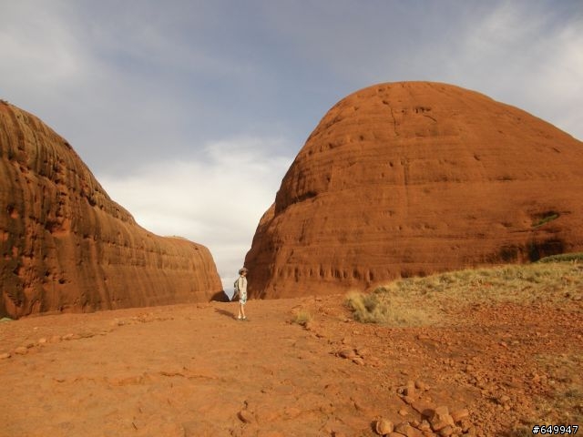 Uluru (aka Ayer's Rock) 露營行程  (圖多）