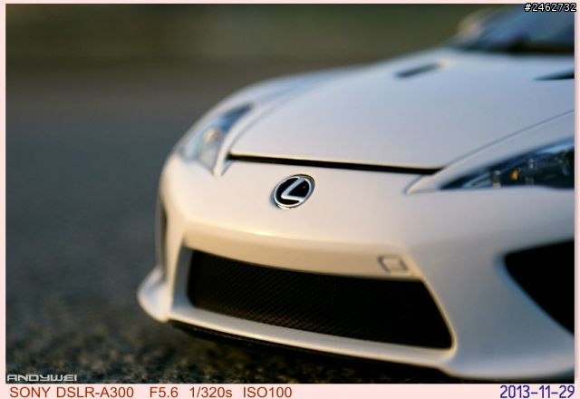 1:18 Lexus LFA in 大佳河濱公園