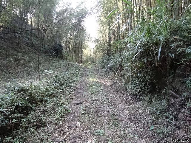 親子旅遊-竹山瞎晃