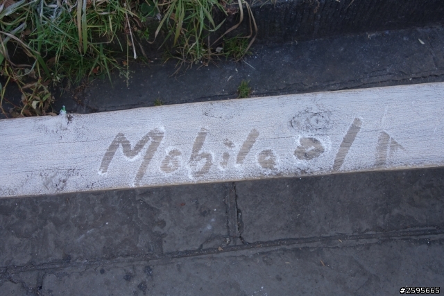 「蜀都騎實」峨眉山單線