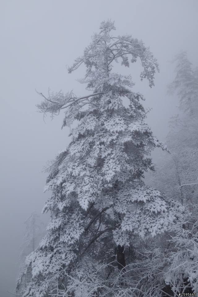 「蜀都騎實」西嶺雪山單線