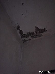 樓上公寓隔套房出租, 廁所樓板防水沒做好, 讓我家天花板壁癌