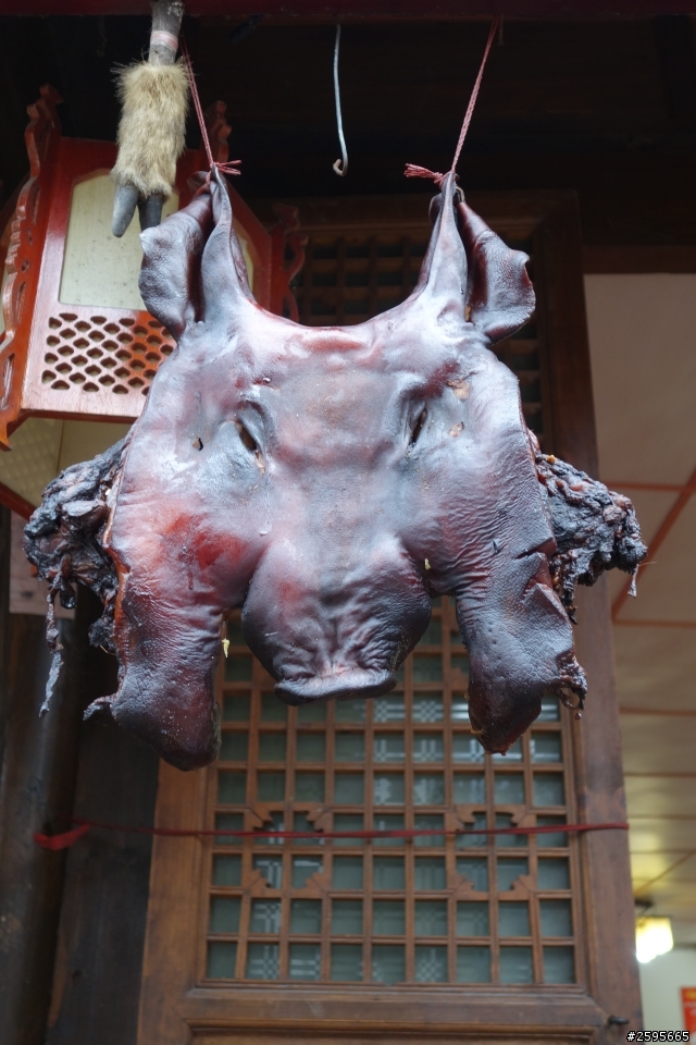 「蜀都騎實」映秀、三江、都江堰單線
