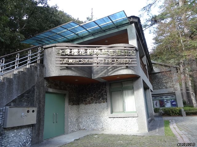 親子旅遊-武陵農場and 桃山瀑布步道