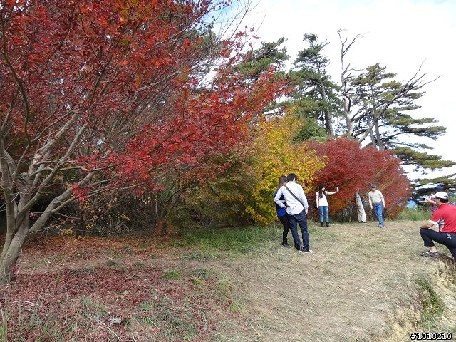親子旅遊-褔壽山農場 and 合歡溪步道