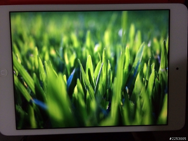 Retina display on iPad mini 的威力