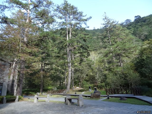 親子旅遊-武陵農場and 桃山瀑布步道