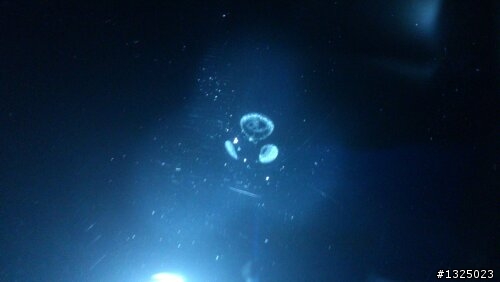 貼了2個月的vool v40不會消失的霉斑