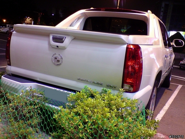 巧遇大貨卡 Cadillac Escalade EXT 6.2