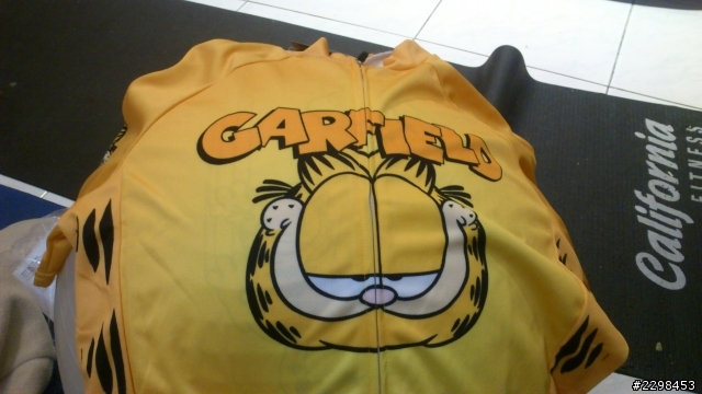 加菲貓(garfield)車衣開箱