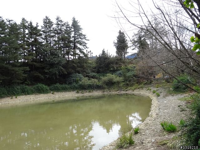 親子旅遊-褔壽山農場 and 合歡溪步道