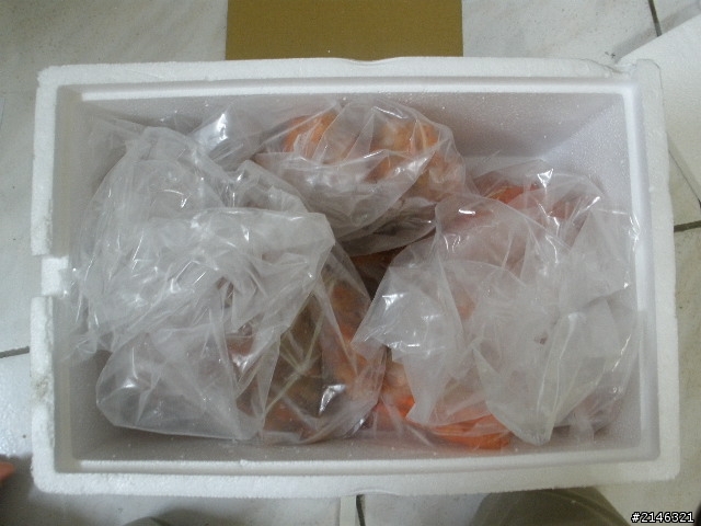 PCHOME網購帝王蟹開箱~~~