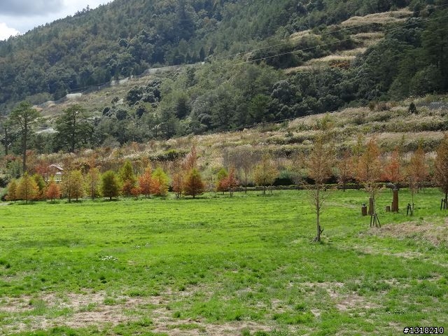 親子旅遊-武陵農場and 桃山瀑布步道