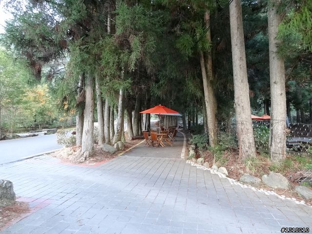 親子旅遊-武陵農場and 桃山瀑布步道