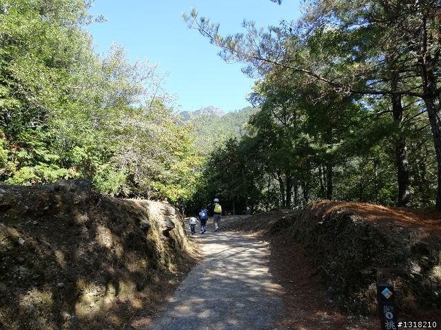 親子旅遊-武陵農場and 桃山瀑布步道