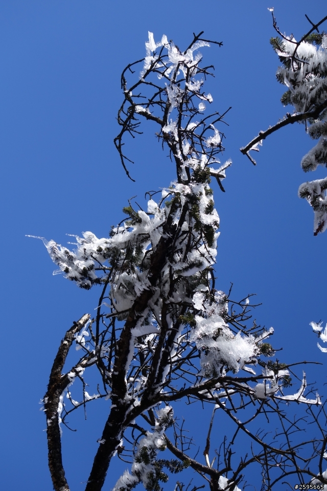「蜀都騎實」西嶺雪山單線
