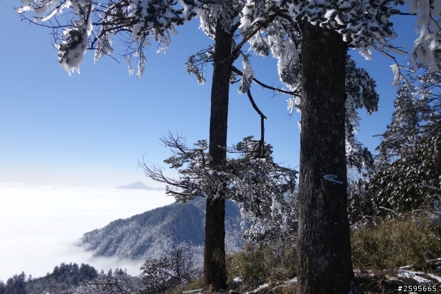 「蜀都騎實」西嶺雪山單線