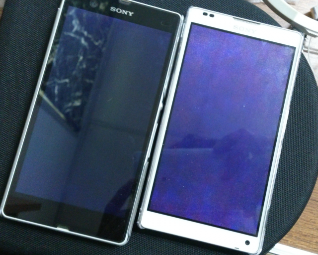 Sony  ZL 紫光?