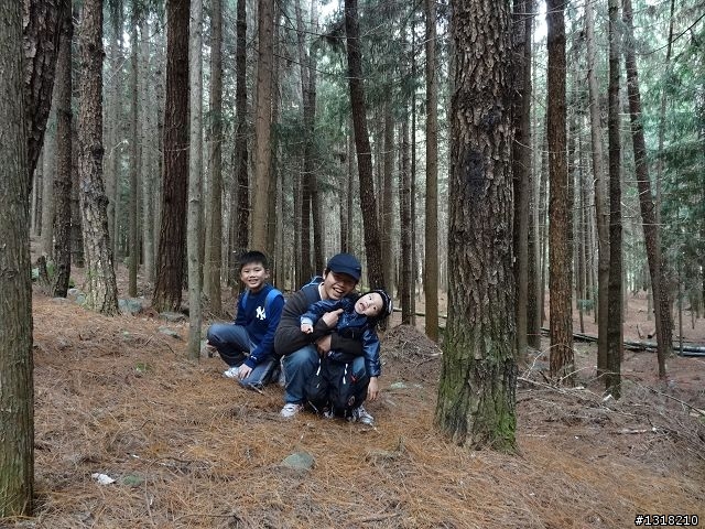親子旅遊-武陵農場and 桃山瀑布步道