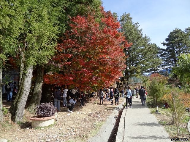 親子旅遊-褔壽山農場 and 合歡溪步道