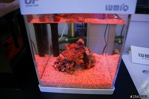 關於新加坡LumiQ水族套缸