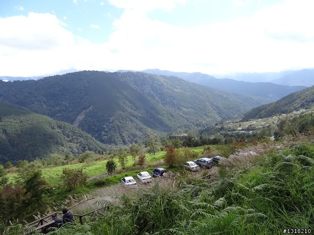 親子旅遊-武陵農場and 桃山瀑布步道