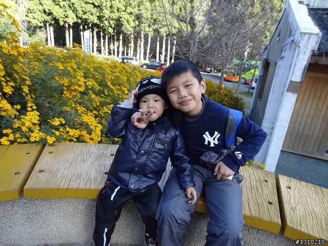 親子旅遊-武陵農場and 桃山瀑布步道
