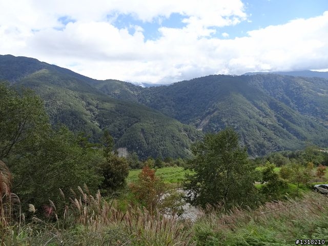 親子旅遊-武陵農場and 桃山瀑布步道