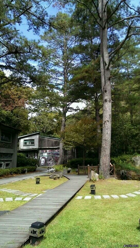 不專業之福壽山露營，順遊武陵農場