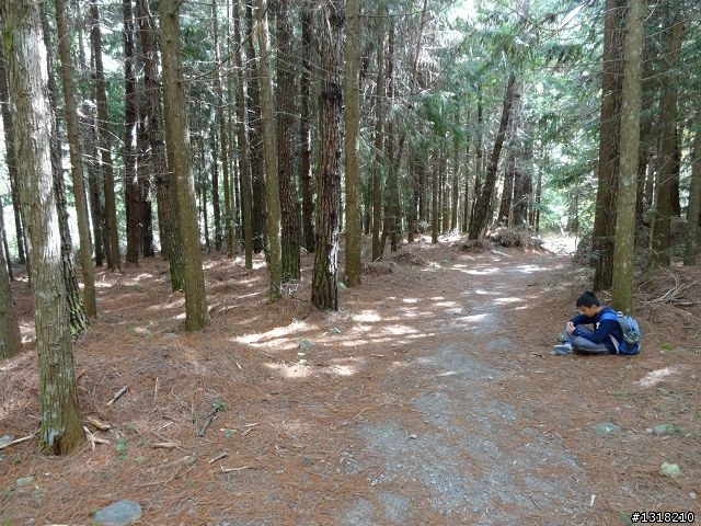 親子旅遊-武陵農場and 桃山瀑布步道