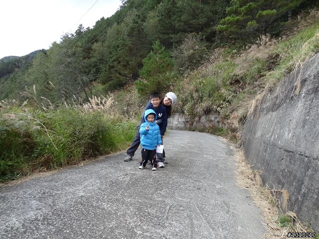 親子旅遊-武陵農場and 桃山瀑布步道