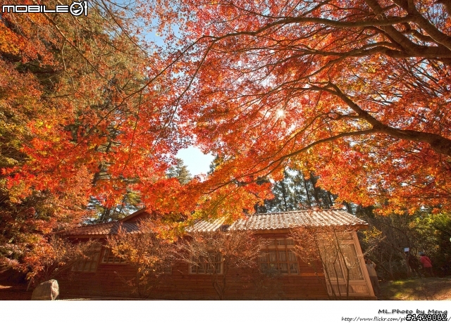 有ＰＳ神人可以幫我把照片中的波蜜果菜汁轉到正面嗎？懇求