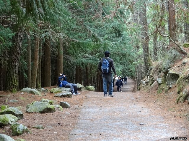 親子旅遊-武陵農場and 桃山瀑布步道