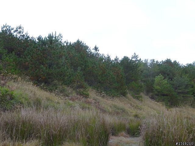 親子旅遊-褔壽山農場 and 合歡溪步道