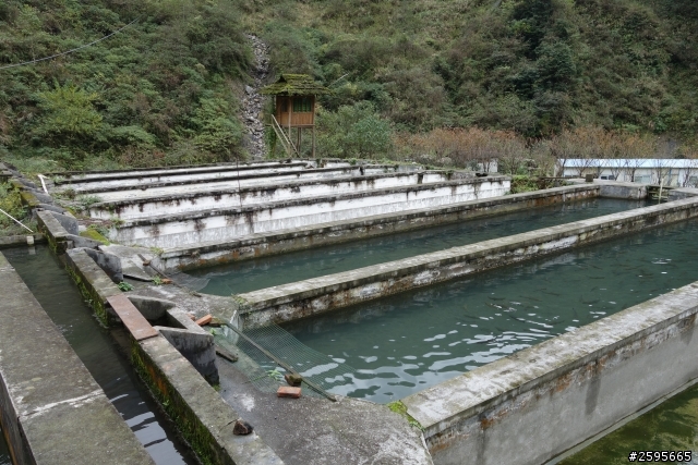 「蜀都騎實」映秀、三江、都江堰單線