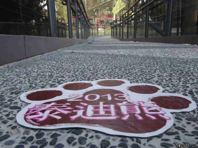 QX100紀錄台中泰迪熊