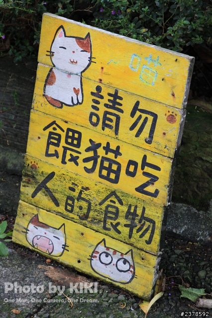 行腳台灣-戀戀東北角