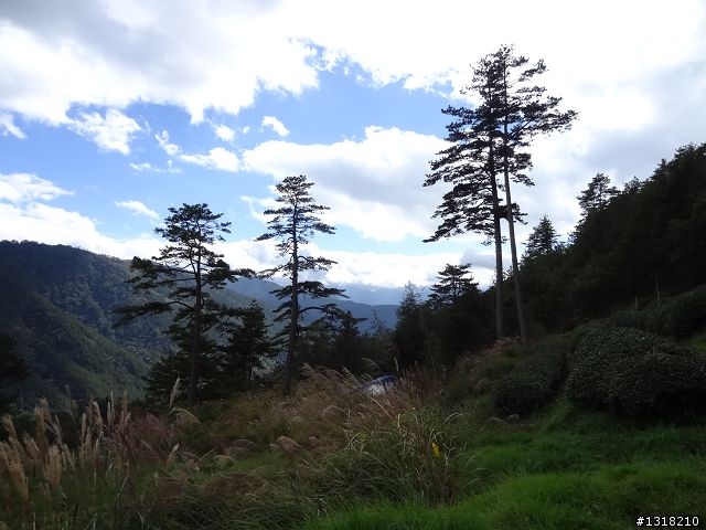 親子旅遊-武陵農場and 桃山瀑布步道