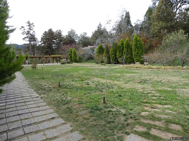 親子旅遊-褔壽山農場 and 合歡溪步道